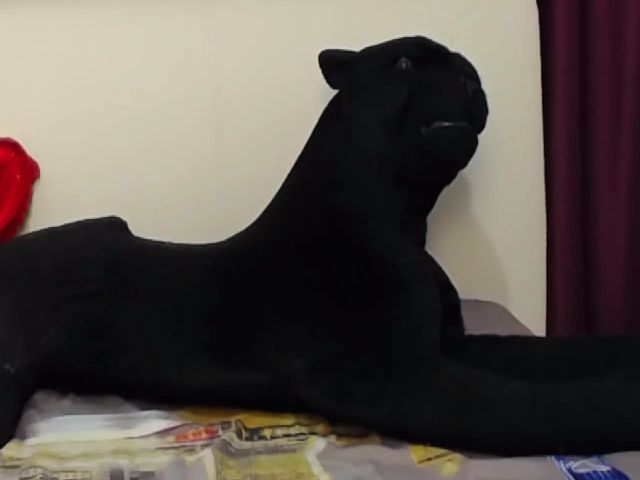 Live sex webcam photo for Lovely_Nadia #263440086