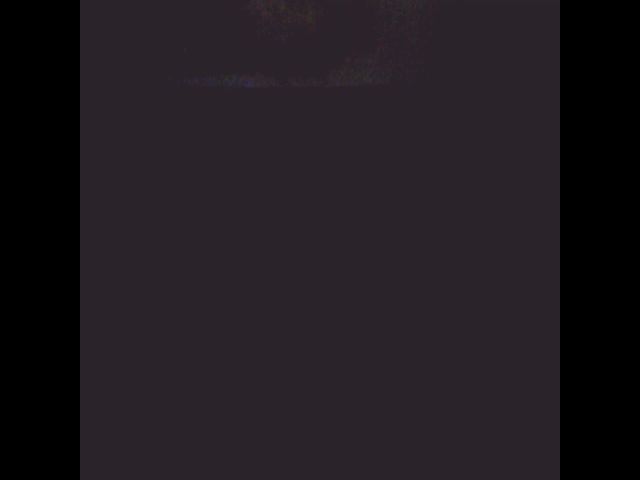 Live sex webcam photo for Sexygeny #262734317