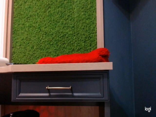 Live sex webcam photo for OXXXY #252378371