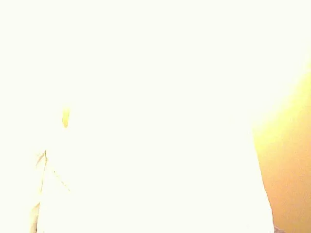 Live sex webcam photo for Hotmelons44 #254808765