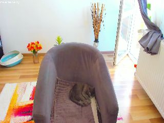 Live sex webcam photo for Roses_dream #251872605