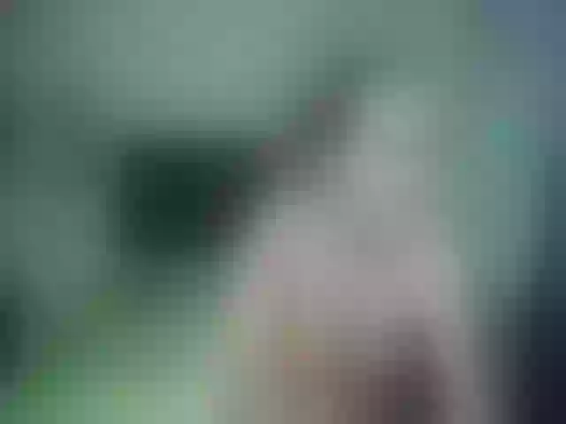 Live sex webcam photo for kataleyasex6 #265213429