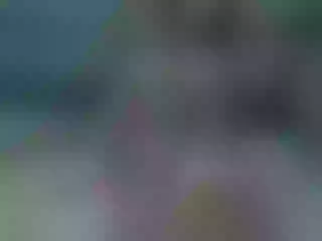 Live sex webcam photo for Into_Mary #259482116