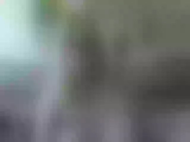 Live sex webcam photo for cozychristine #262081612