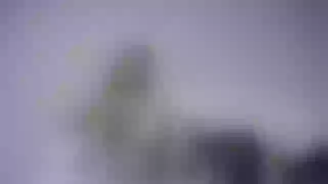 Live sex webcam photo for AnnaSnake #245067597