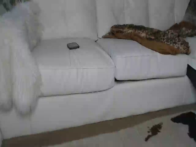 Live sex webcam photo for MariahKay #255721063