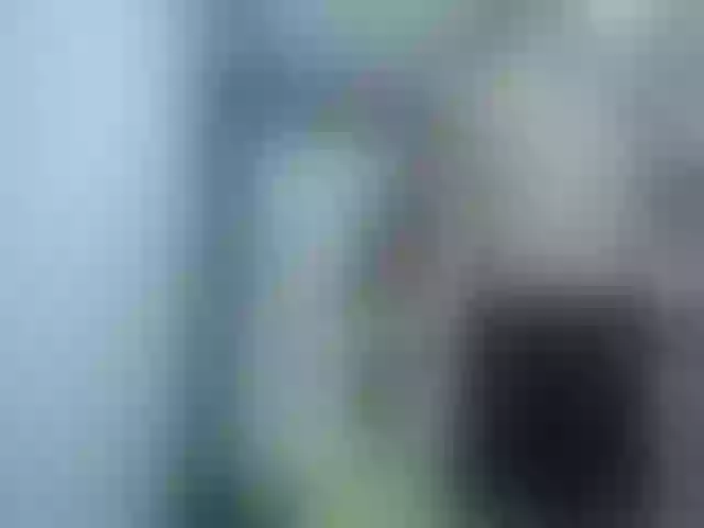 Live sex webcam photo for Anttonella_2 #262537063