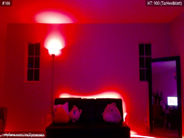 Live sex webcam photo for MollyMeowz #254691746