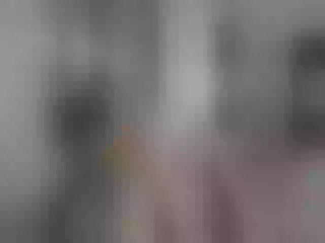 Live sex webcam photo for LauraVega #254850805