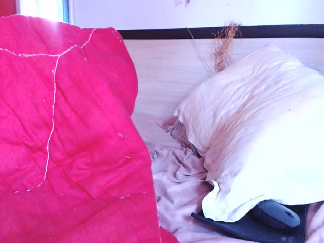 Live sex webcam photo for TIFFANY__MFC #255820071