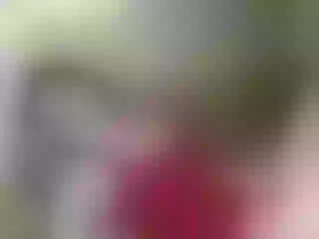Live sex webcam photo for Khriss_69 #252343962