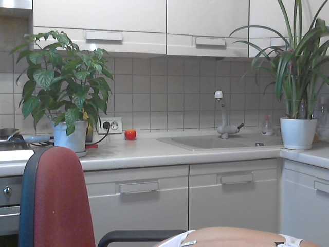 Live sex webcam photo for runa88 #253864241