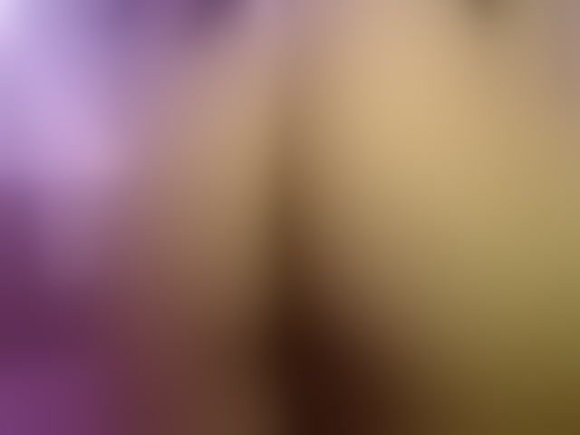 Live sex webcam photo for Shanel_bigass #254830961