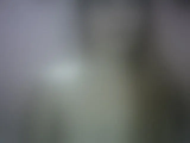 Live sex webcam photo for shaneley #245954927