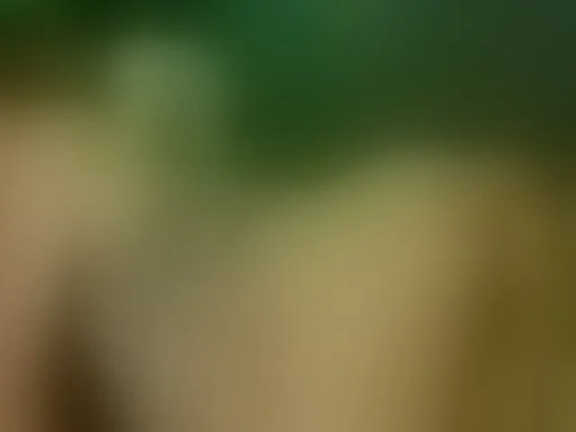 Live sex webcam photo for Alexajoyy #252263039