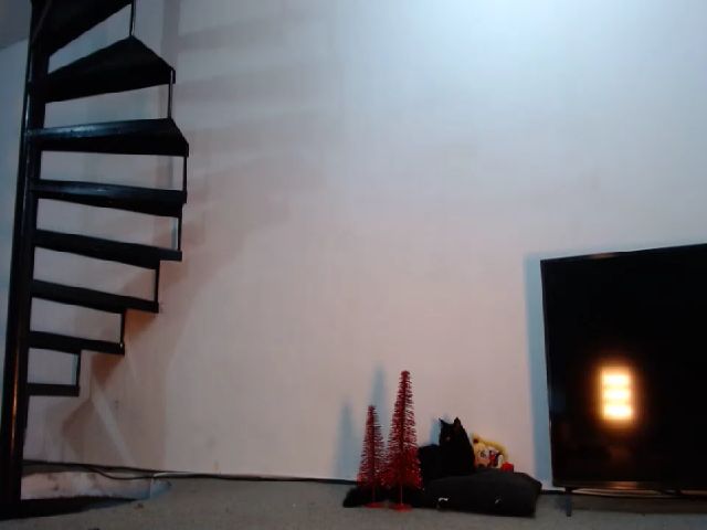 Live sex webcam photo for AmyKGreen #254359684