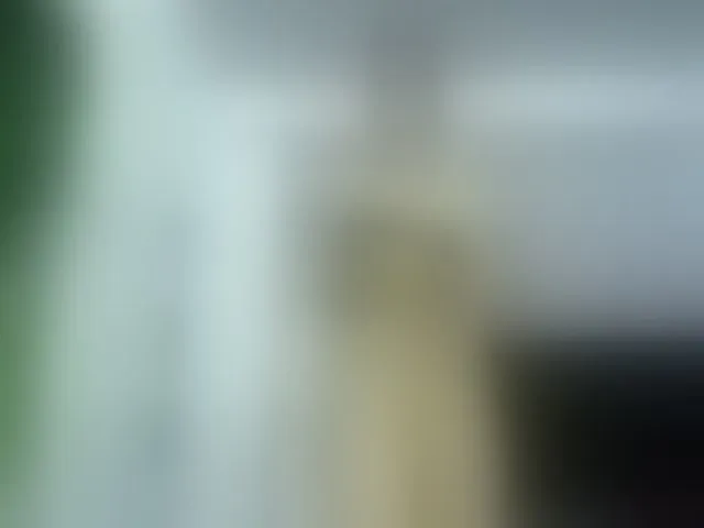 Live sex webcam photo for Girasolwalton #254541534