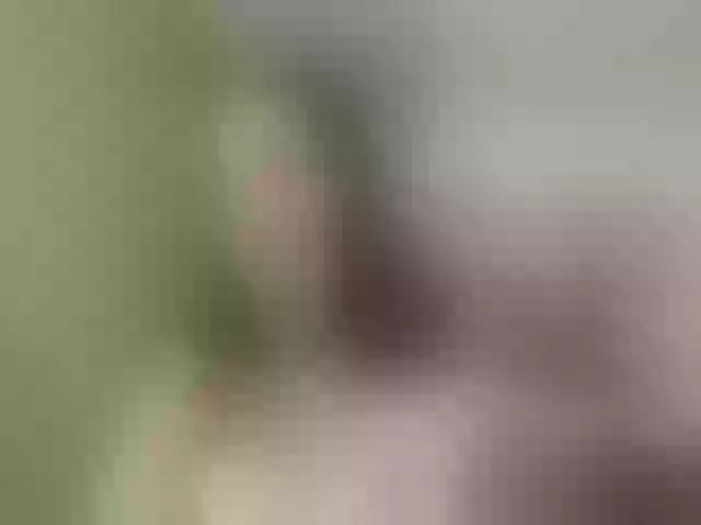 Live sex webcam photo for Evelynevi #253277744