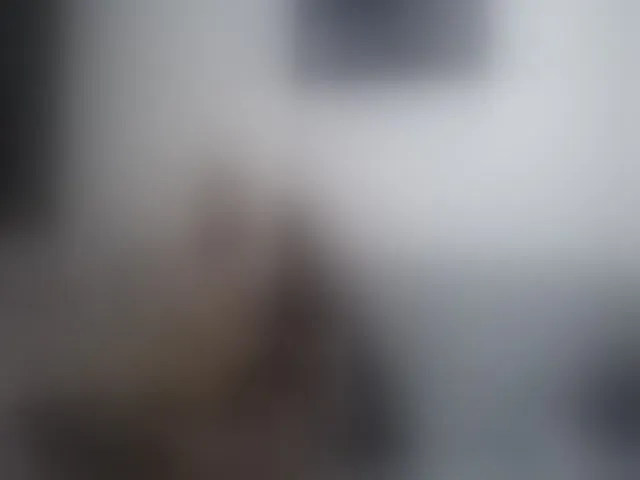 Live sex webcam photo for Sweetyashling #262828471