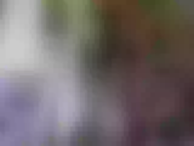 Live sex webcam photo for cozychristine #257723922