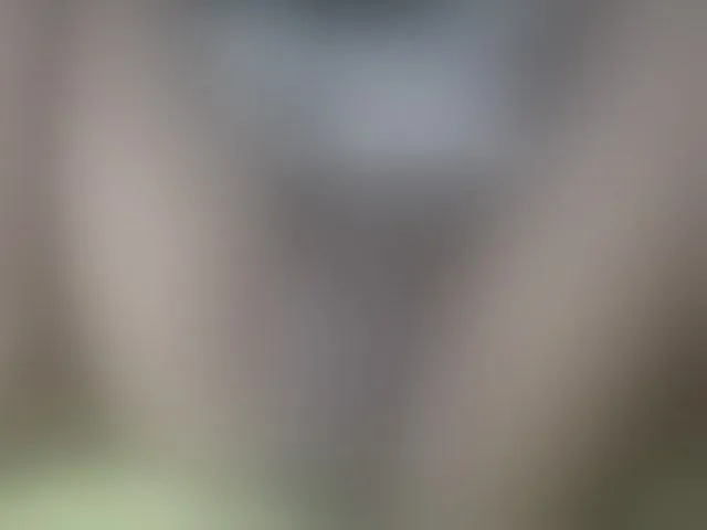 Live sex webcam photo for boundlessfu #241415528
