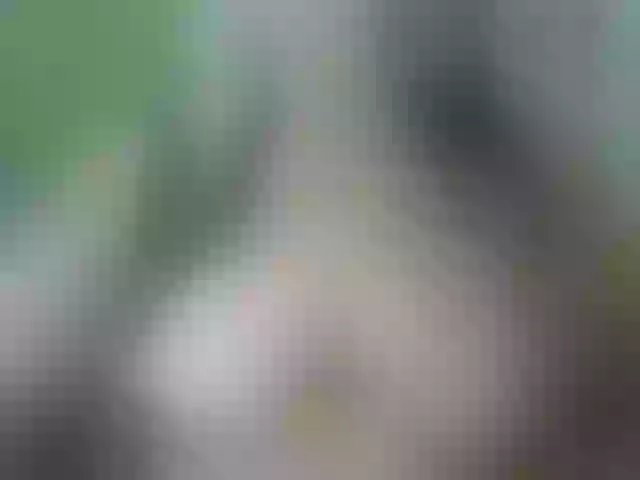 Live sex webcam photo for MulherBRRJ #241070714
