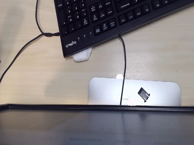 Live sex webcam photo for CurlyBella #254741695