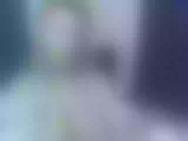 Live sex webcam photo for Dede_sibel #255175753