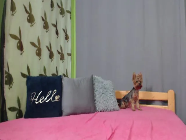Live sex webcam photo for ViktoriaSoul_ #262198673