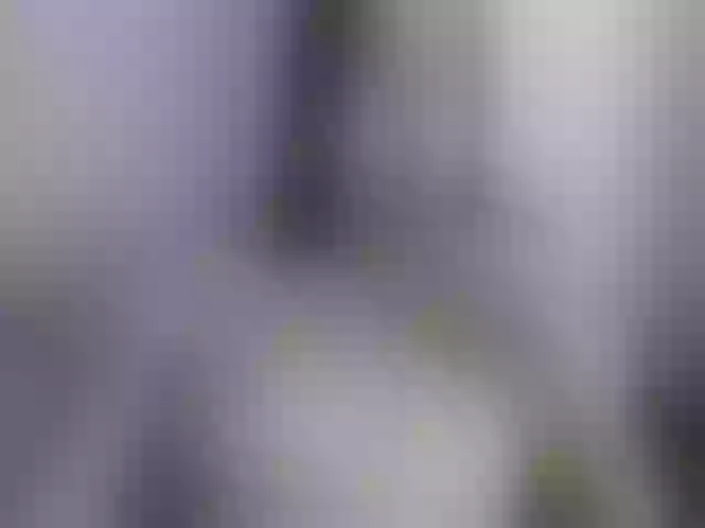 Live sex webcam photo for Michelle_SZ #254090367