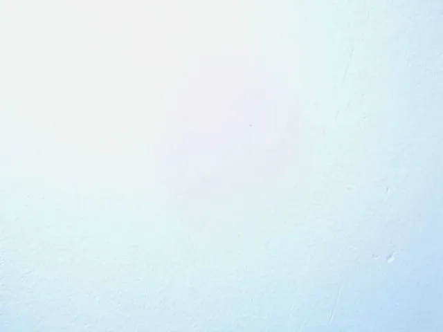 Live sex webcam photo for SharaEbony1 #255716539