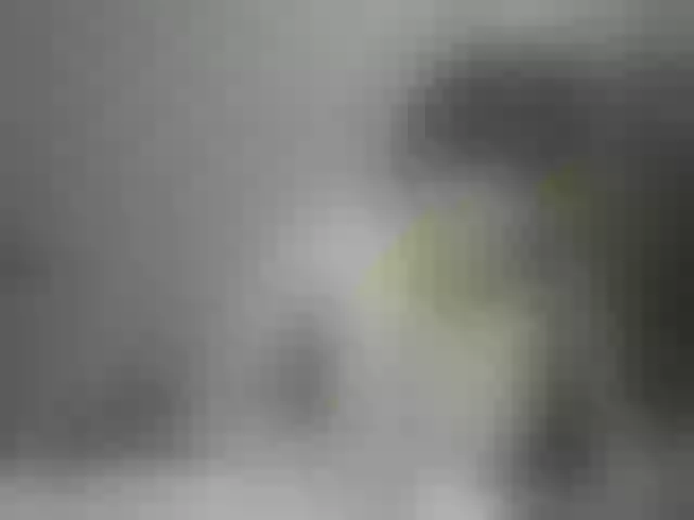 Live sex webcam photo for JaneHot #241426301
