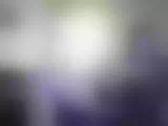 Live sex webcam photo for RachelORose #242926154