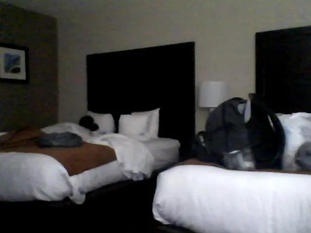 Live sex webcam photo for CocoaCat #263612902