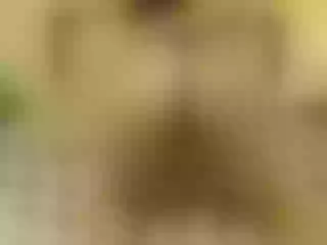 Live sex webcam photo for KayllaSmith #260034404