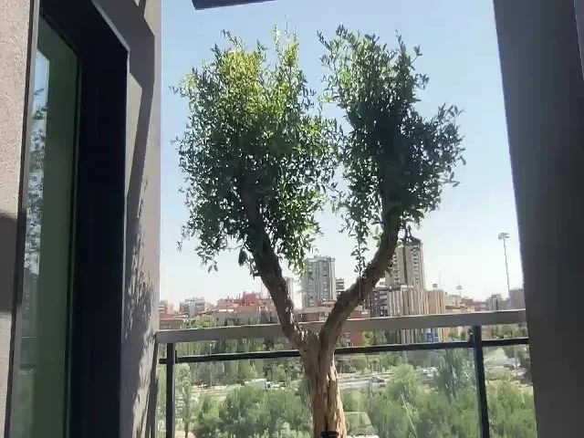 Live sex webcam photo for XViciousLoveX #256912365