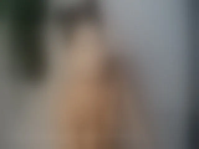 Live sex webcam photo for ExoticandThai #255520170