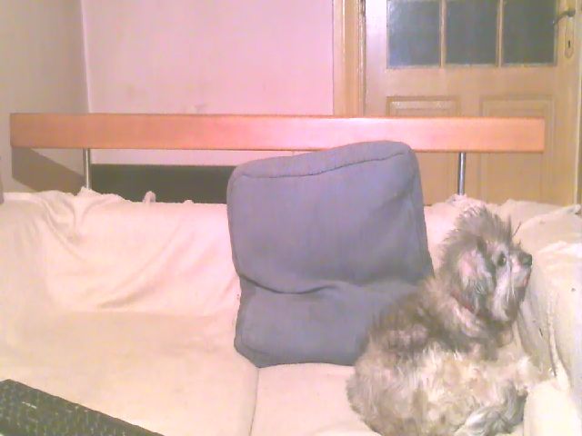 Live sex webcam photo for Lili_Mari69 #252934476