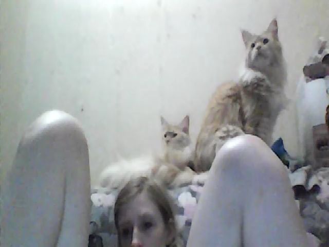 Live sex webcam photo for GuiltyKitty #258263210