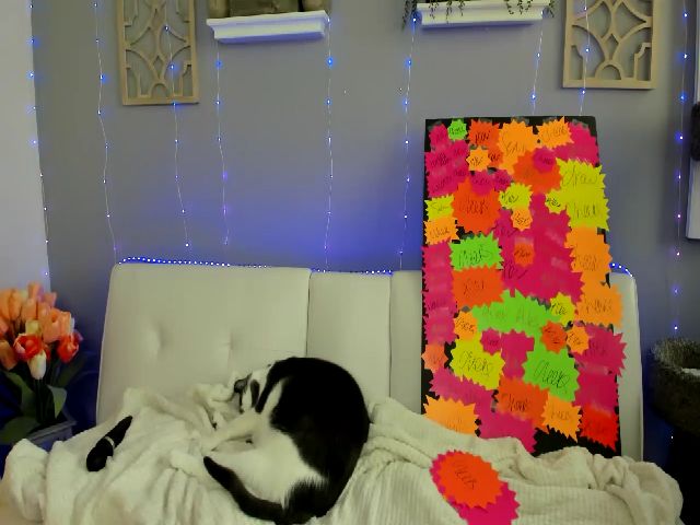 Live sex webcam photo for Sofiryanxoxo #257823300