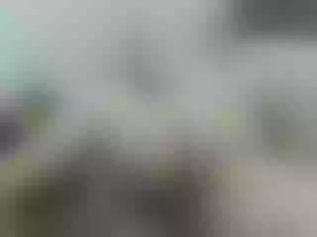Live sex webcam photo for pugglelover #259577812