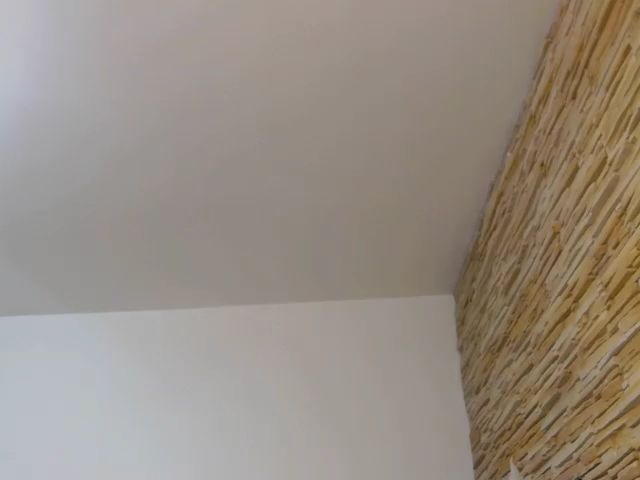 Live sex webcam photo for MissElisabeth #264485665