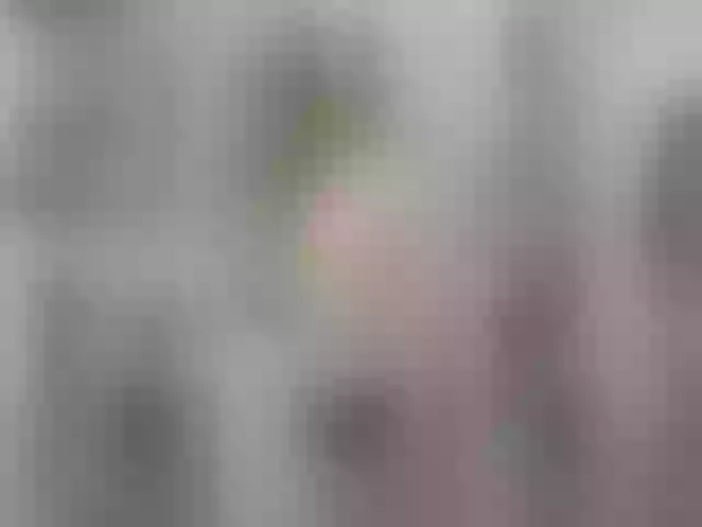 Live sex webcam photo for Greybunny #263097215