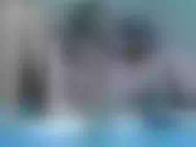 Live sex webcam photo for cheaptipmenu #241285159