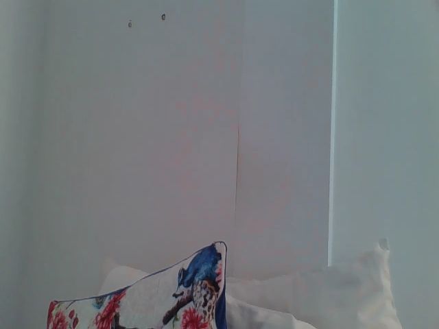 Live sex webcam photo for SweetLola01 #254600828