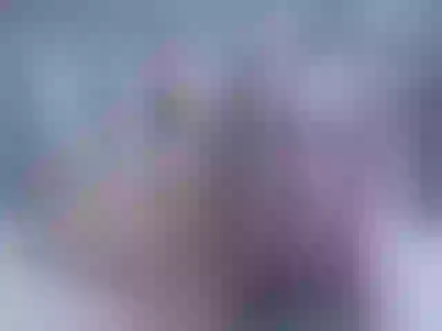 Live sex webcam photo for Anntje #253109308