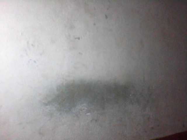 Live sex webcam photo for cheri-coco #241198427