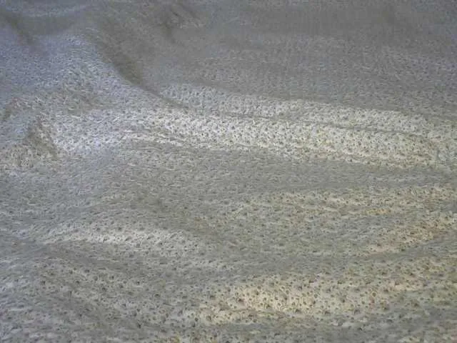 Live sex webcam photo for liZAAAZ #241044774