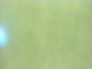 Live sex webcam photo for O1iv1a #252239850