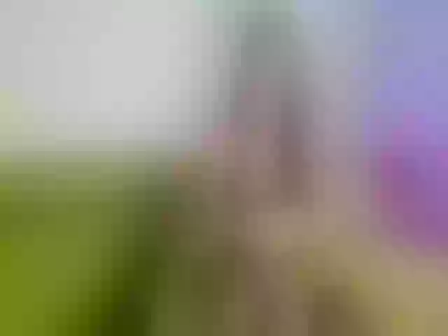 Live sex webcam photo for Atlanna #252266080